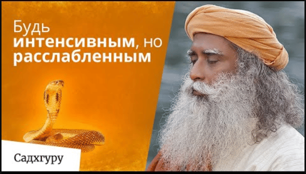 Чтобы познать жизнь, стань как кобра