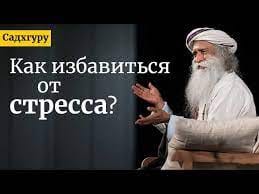 Как избавиться от стресса?
