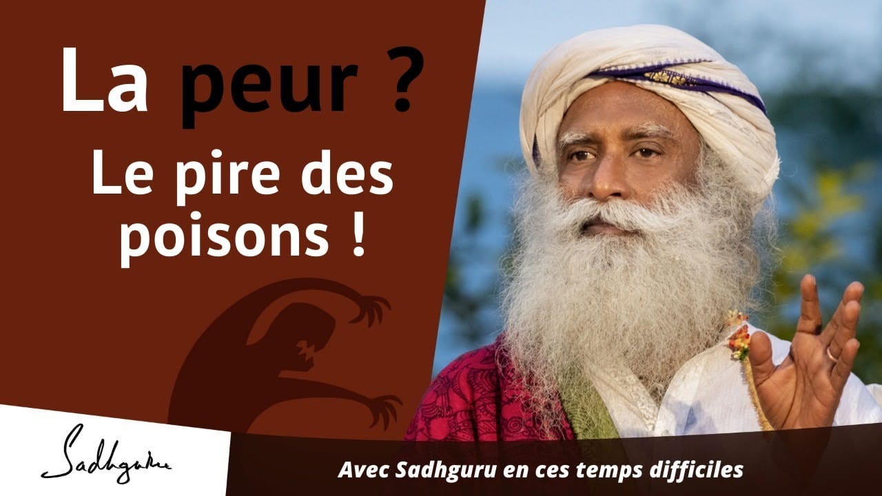 La peur est un poison. Voilà pourquoi