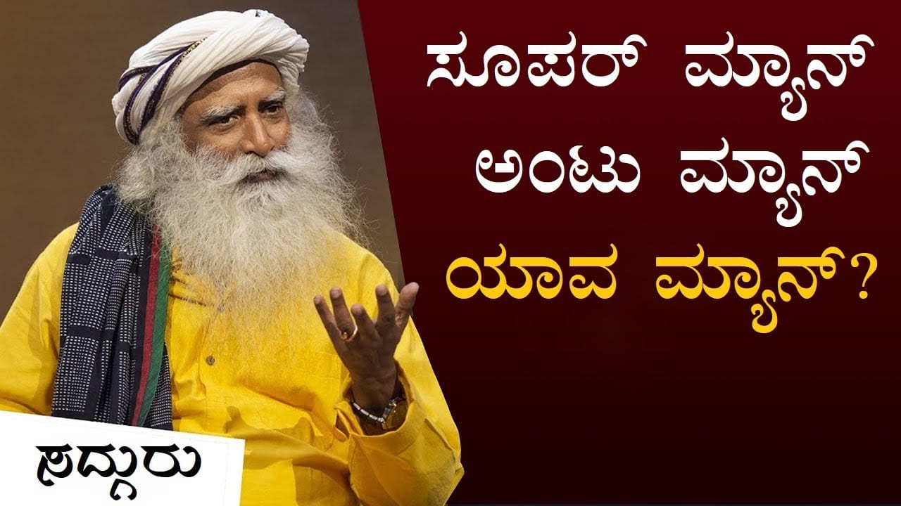 ಸೂಪರ್ ಮ್ಯಾನ್, ಅಂಟು ಮ್ಯಾನ್, ನೀವು ಯಾವ ಮ್ಯಾನ್?