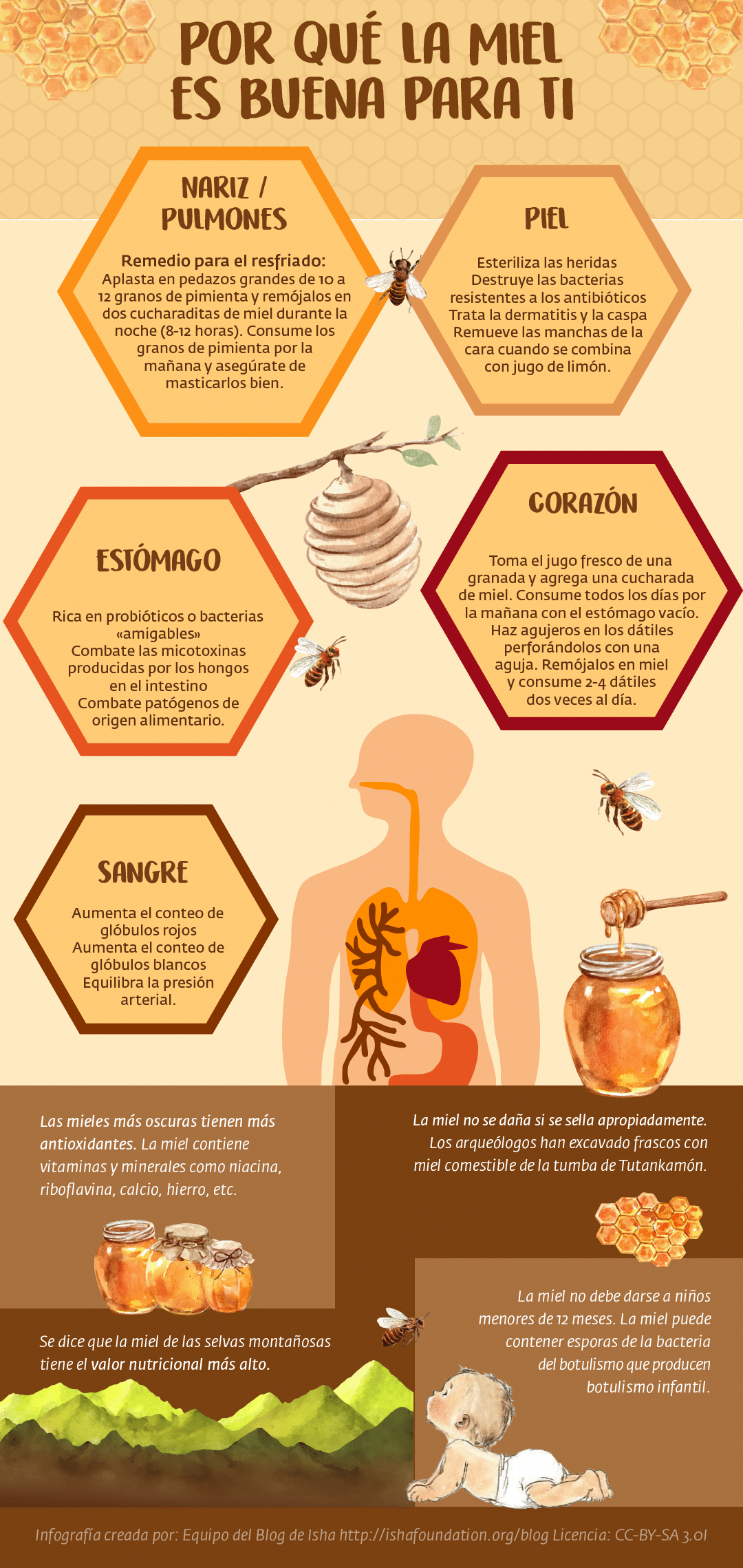 8 la miel y sus usos tradicionales