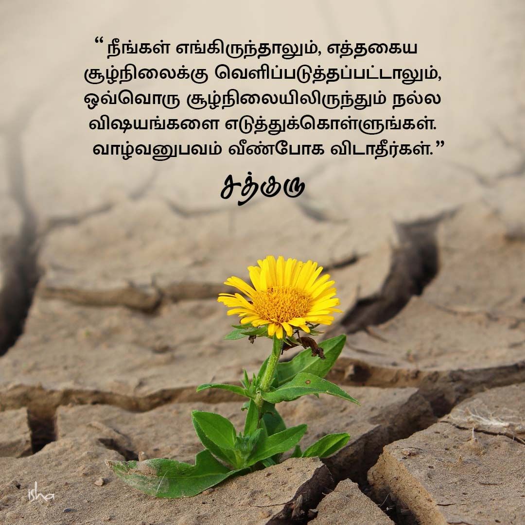Motivational Quotes in Tamil, நம்பிக்கை, ஊக்கம், மோட்டிவேஷன், வாழ்க்கை அனுபவம், Life Experience