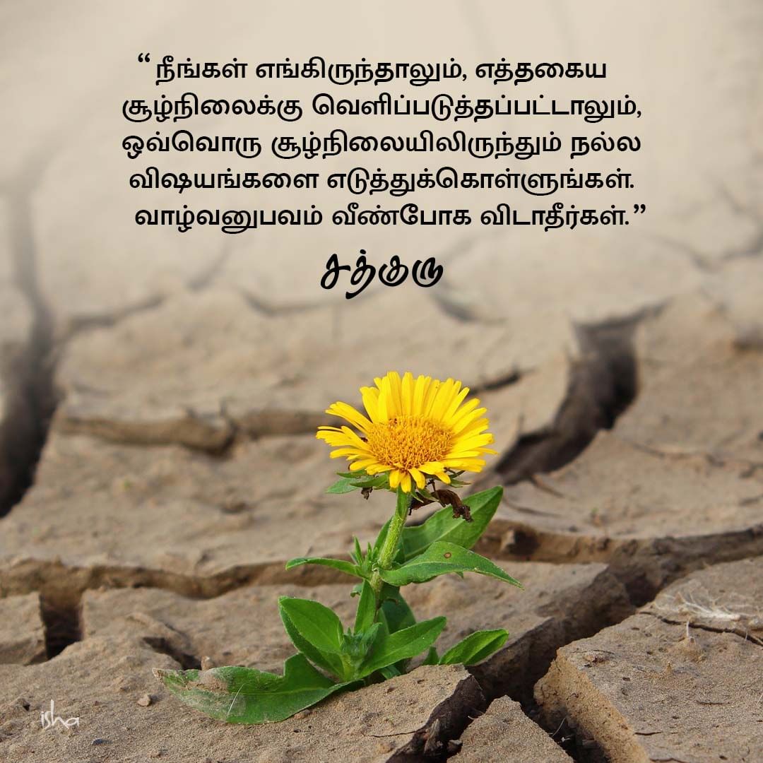 Motivational Quotes in Tamil 