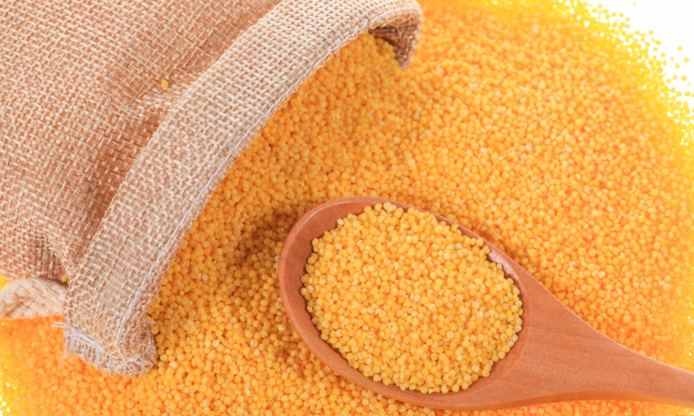 Foxtail Millets - Benefits, Nutrition and 5 Delicious Recipes