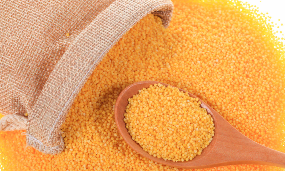 Foxtail Millets - Benefits, Nutrition and 6 Delicious Recipes
