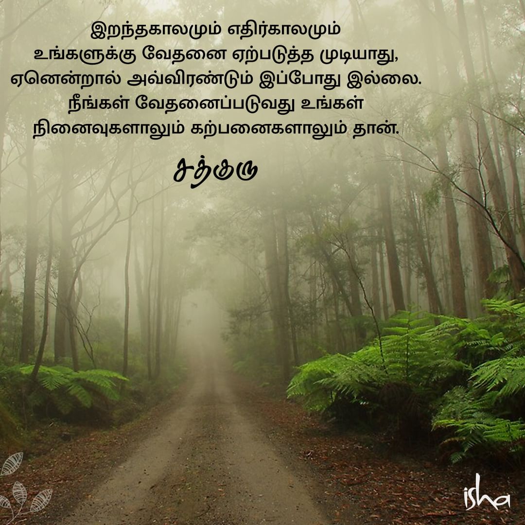 ஞாபகம் மற்றும் கற்பனை, Memory and Imagination