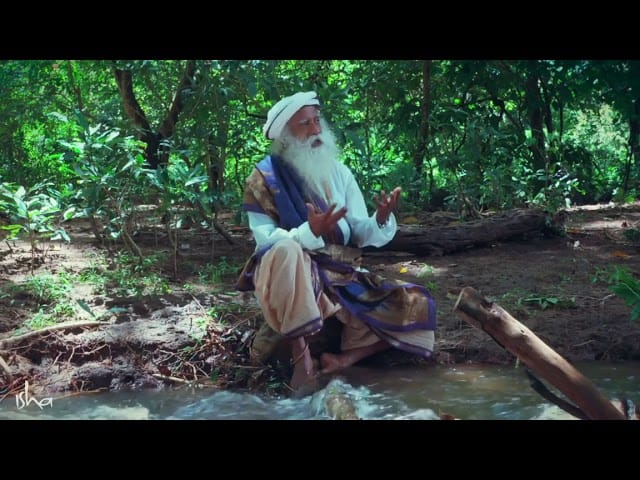 Cauvery Calling - The Journey From Intention To Action