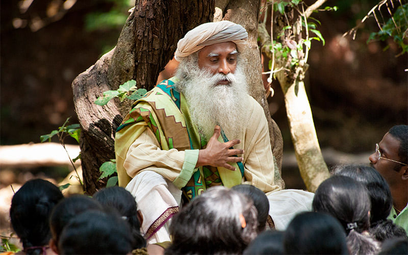 Sadhguru Quotes - It is important to never be exploitative – neither with  plants, trees, animals, nor with human beings.