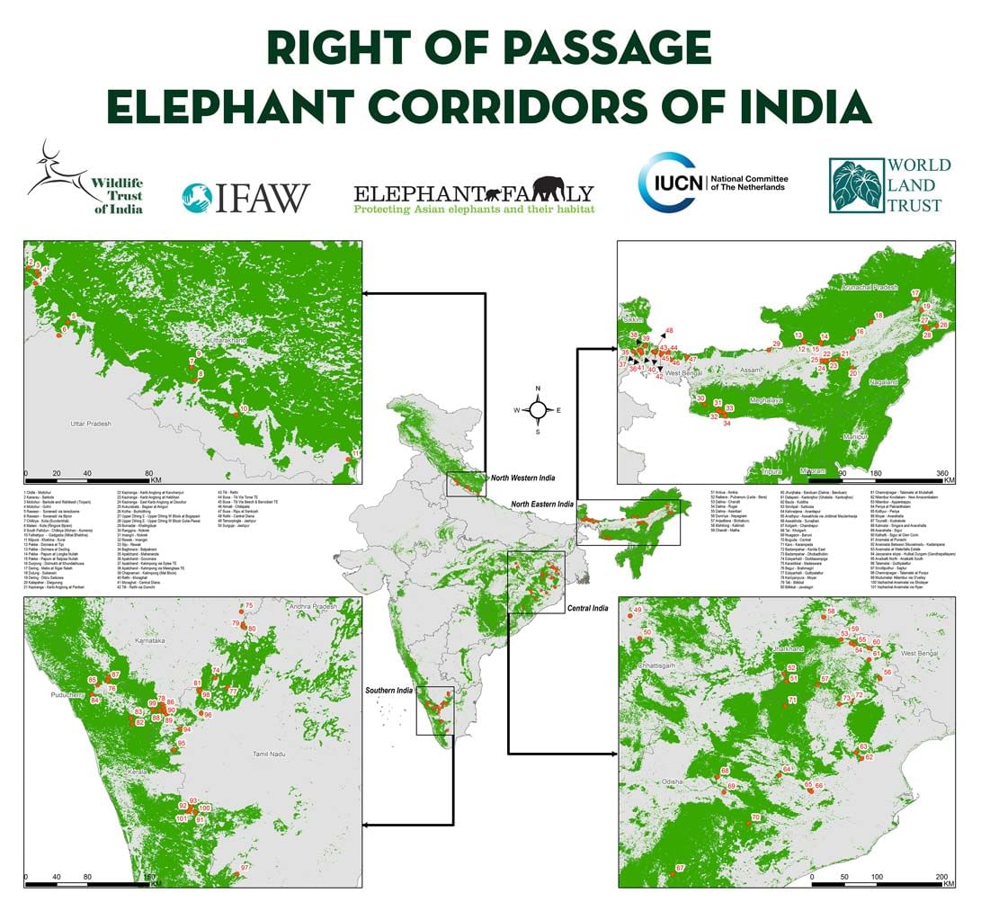 Right of passage: elephant corridors of India 1/2