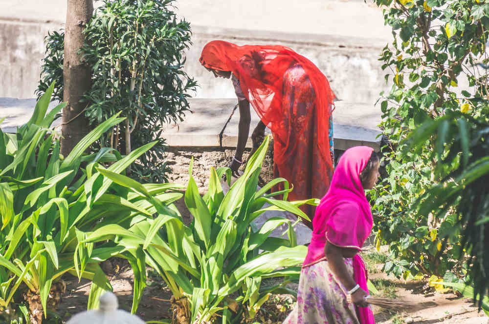 தோட்டத்தில் வேலை செய்யும் பெண்கள், Women doing gardening work, PCOS in Tamil