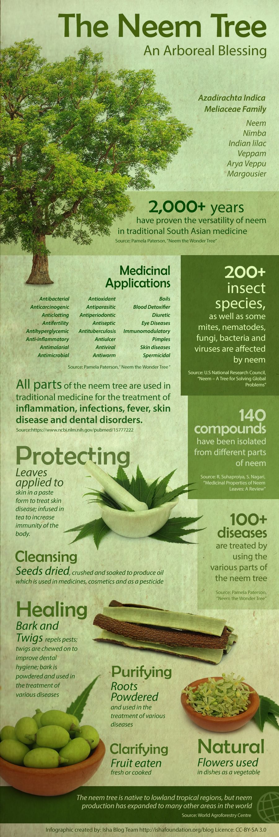 1680145189 benefits uses of neem the wonder leaf neem infographic