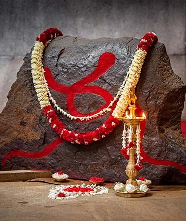  Kumkum Sarpa Seva