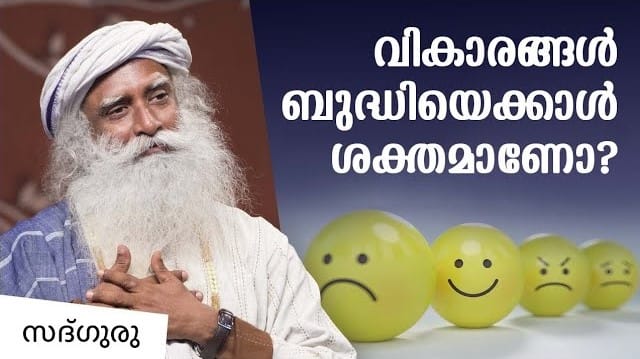 വികാരങ്ങൾ ബുദ്ധിയെക്കാൾ ശക്തമാണോ?