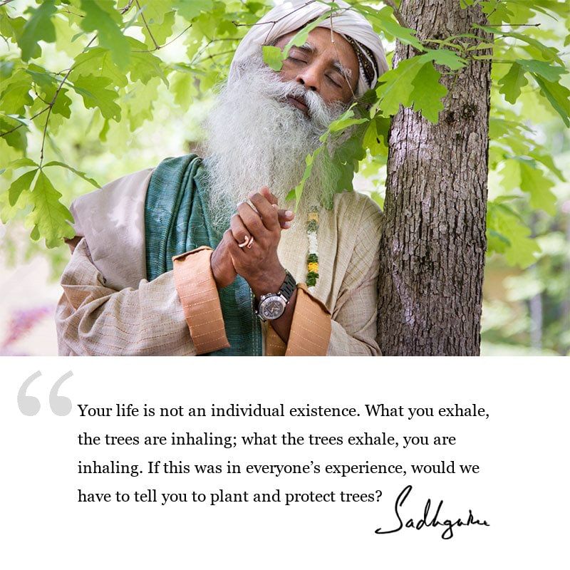 sadhguru-dmq-2019-your-life-is-not-an