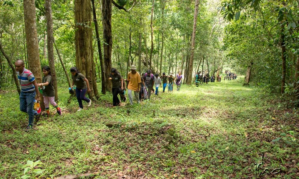 A Date with Nature - Isha Yoga Summer program for Children