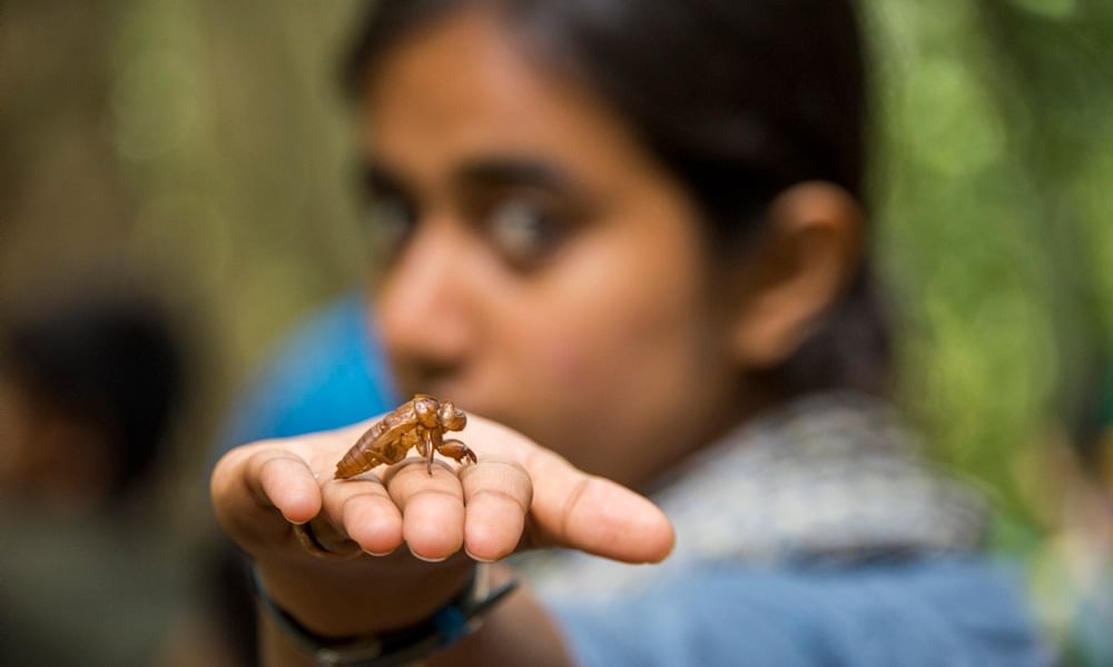 A Date with Nature - Isha Yoga Summer program for Children