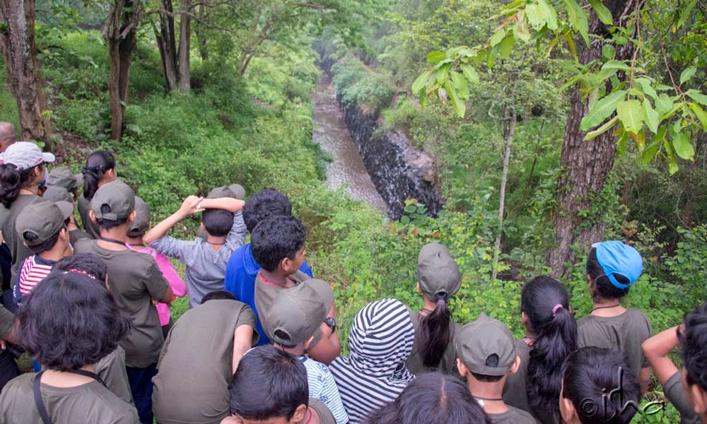 A Date with Nature - Isha Yoga Summer program for Children