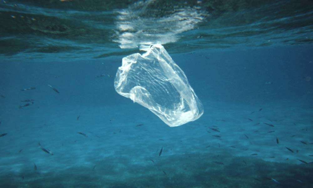 Plastic waste in Sea, உலக சுற்றுச்சூழல் தினம், World Environment Day in Tamil