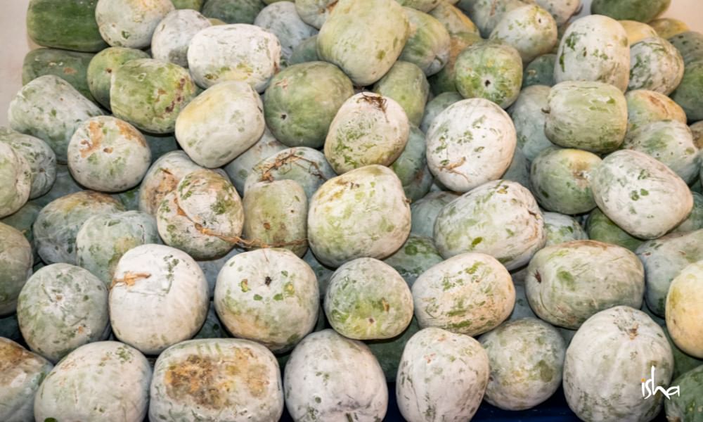 ash-gourd-winter-melon-the-cool-vegetable-benefits-recipes