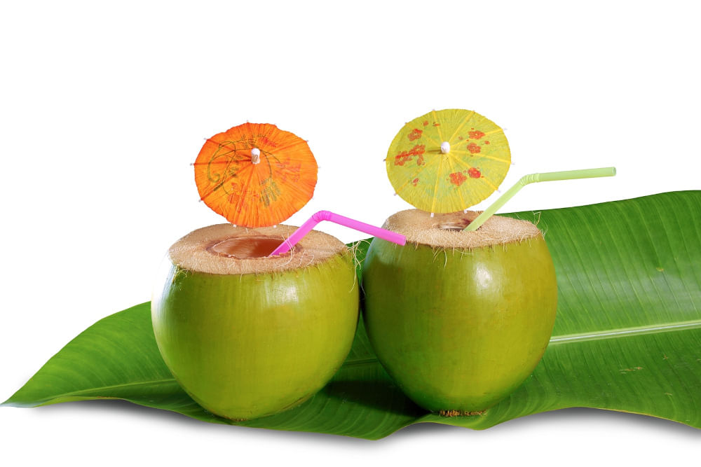 தேங்காய் சாப்பிட்டால் இவ்வளவு நன்மைகளா?, Coconut Benefits in Tamil