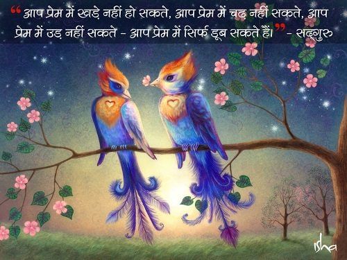 love quotes by sadhguru a beautiful painting of birds in love by isha