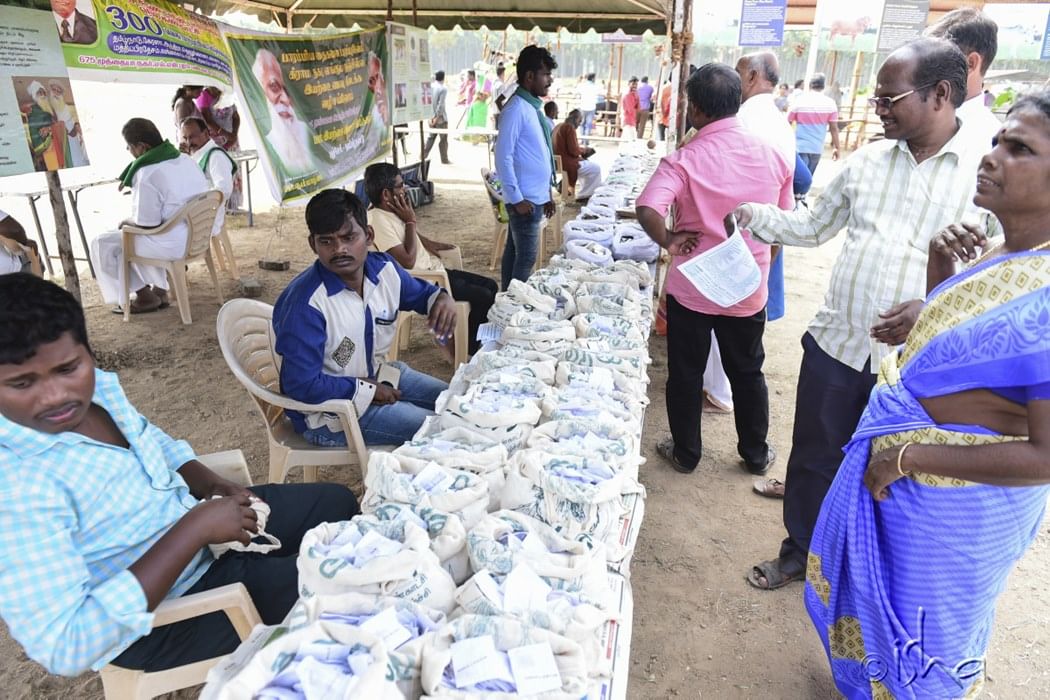 mattu pongal at isha