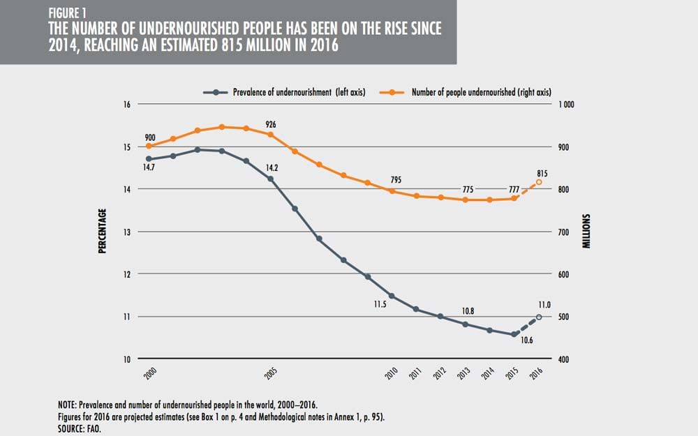 Number of undernourished people has been on the rise since 2014, reaching 815 million in 2016 | Why Haven’t We Solved World Hunger Yet?