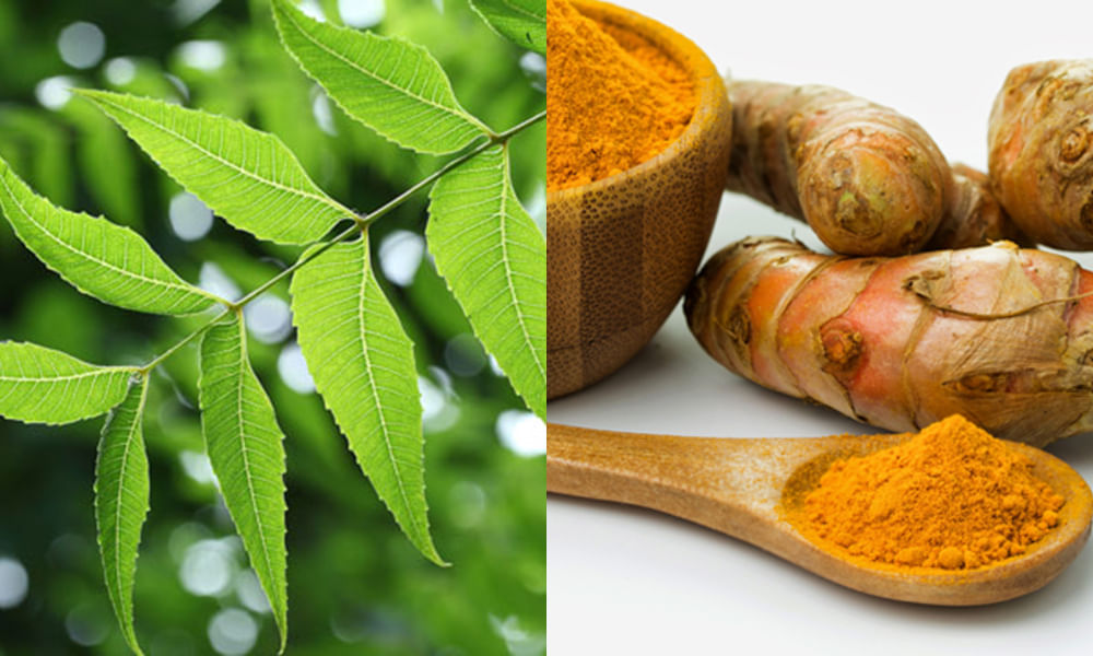 neem and turmeric benefits
