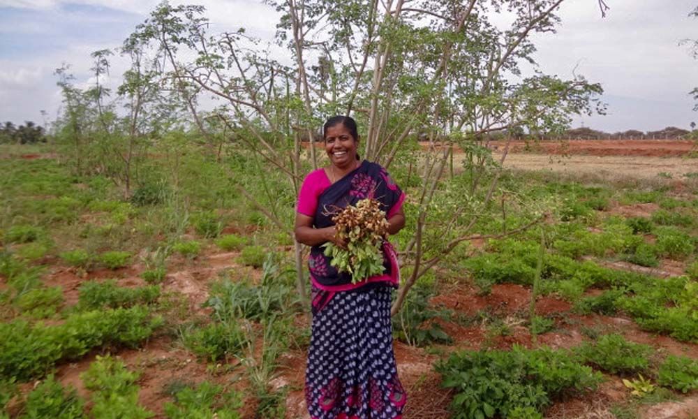 Devi, Farmer