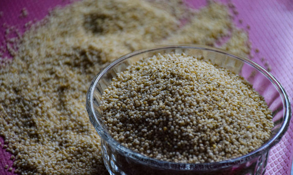 சாமை, சாமை அரிசி பயன்கள், Samai Rice Benefits in Tamil, Little Millet in Tamil