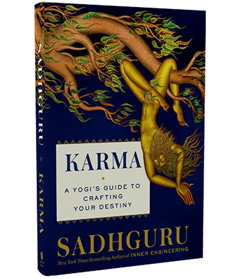 Karma - A Yogi's Guide To Crafting Your Destiny