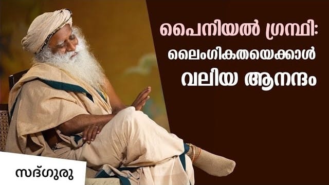 പൈനിയൽ ഗ്രന്ഥി : ഏറ്റവും വലിയ ആനന്ദം