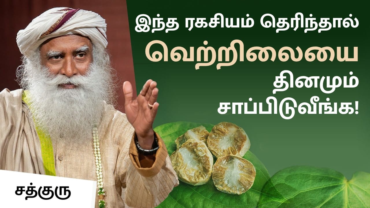 இந்த ரகசியம் தெரிந்தால் வெற்றிலையை தினமும் சாப்பிடுவீங்க!