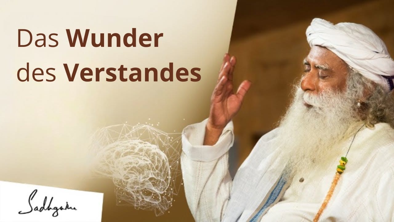 Das Wunder des Verstandes