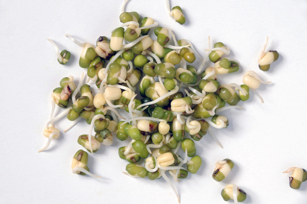  இயற்கை உணவு, Iyarkai Unavu, முளைகட்டிய தானியங்கள், Sprouts