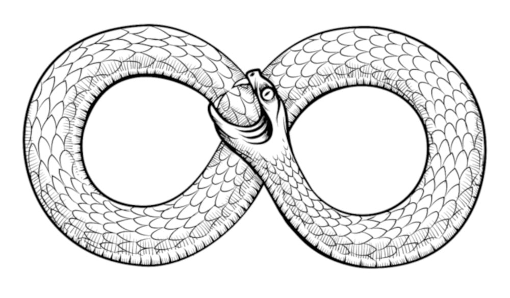 தனது வாலையே விழுங்கும் பாம்பின் சின்னம், Ouroboros, Snake and Infinity symbol