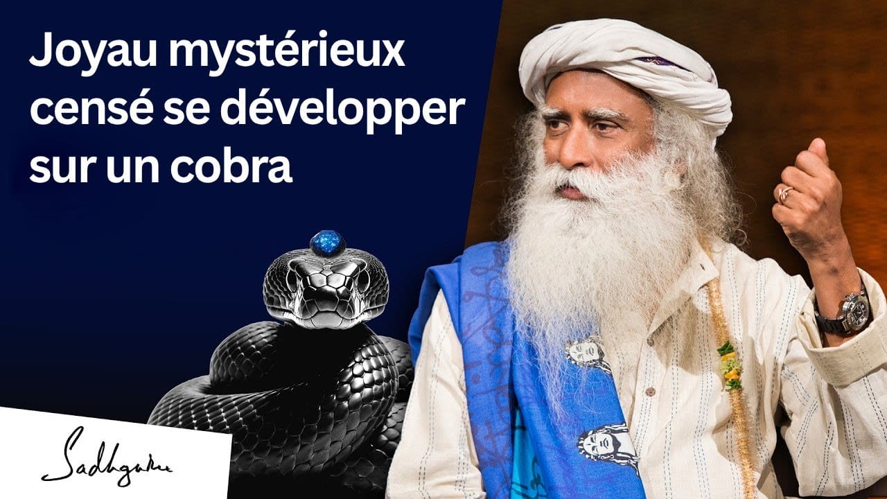 Quand Sadhguru a découvert un Nagmani (perle de cobra)