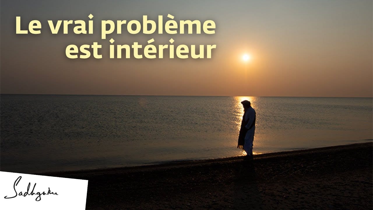 Pourquoi notre monde devient plus violent. Et ce qu’on peut y faire, vraiment.