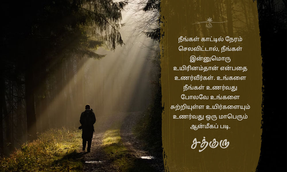 Forest, காடு, Spirituality, ஆன்மீகம்