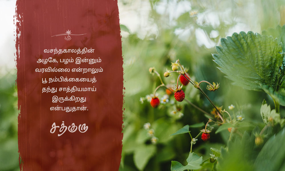 Spring, வசந்தகாலம்