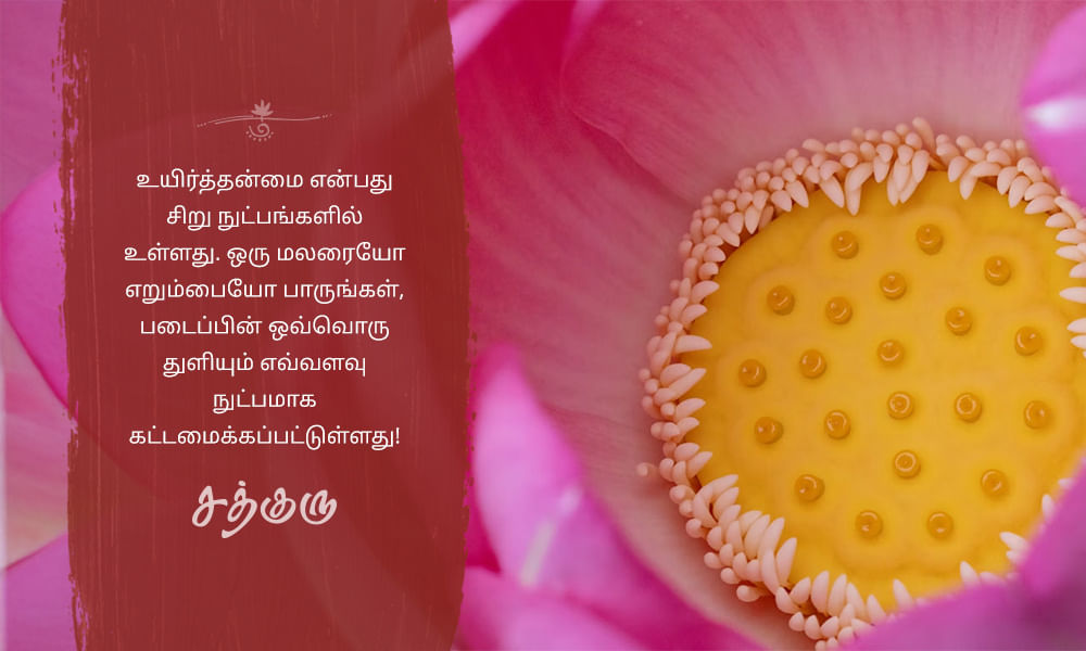Nature Quotes in Tamil, இயற்கை quotes in tamil