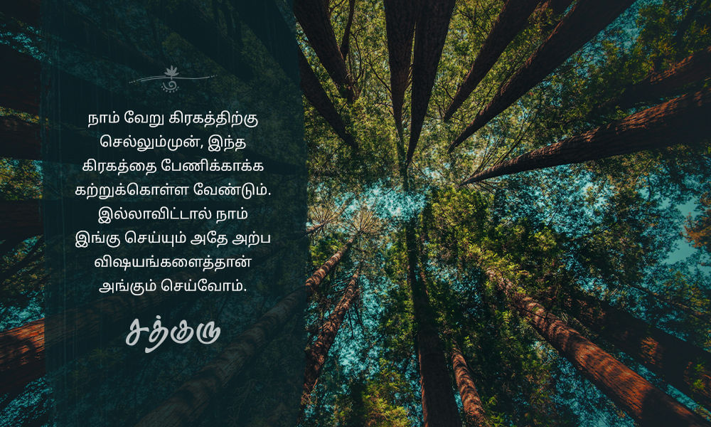 Nature Quotes in Tamil, இயற்கை quotes in tamil