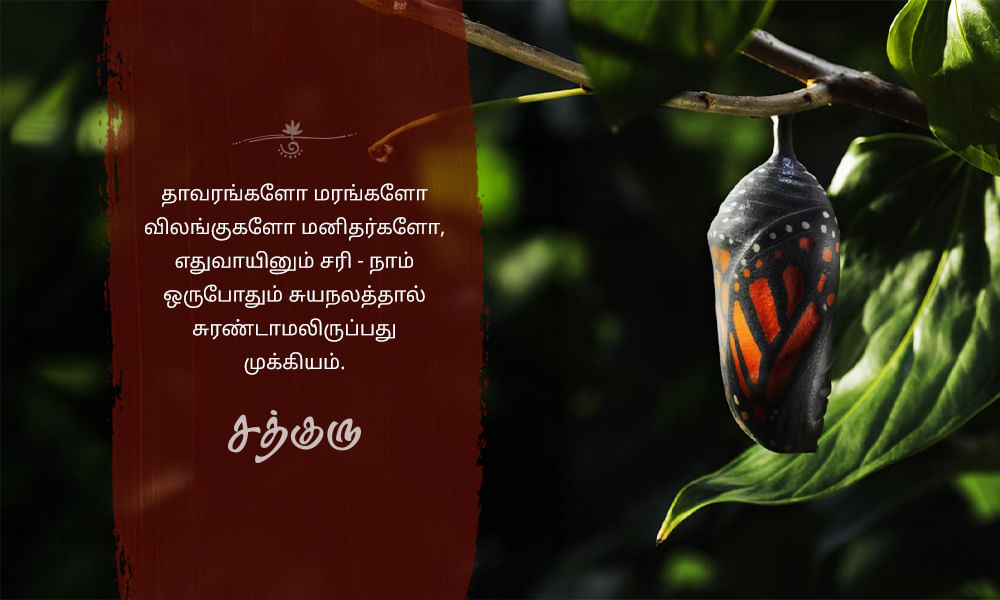 Selfishness, சுயநலம்