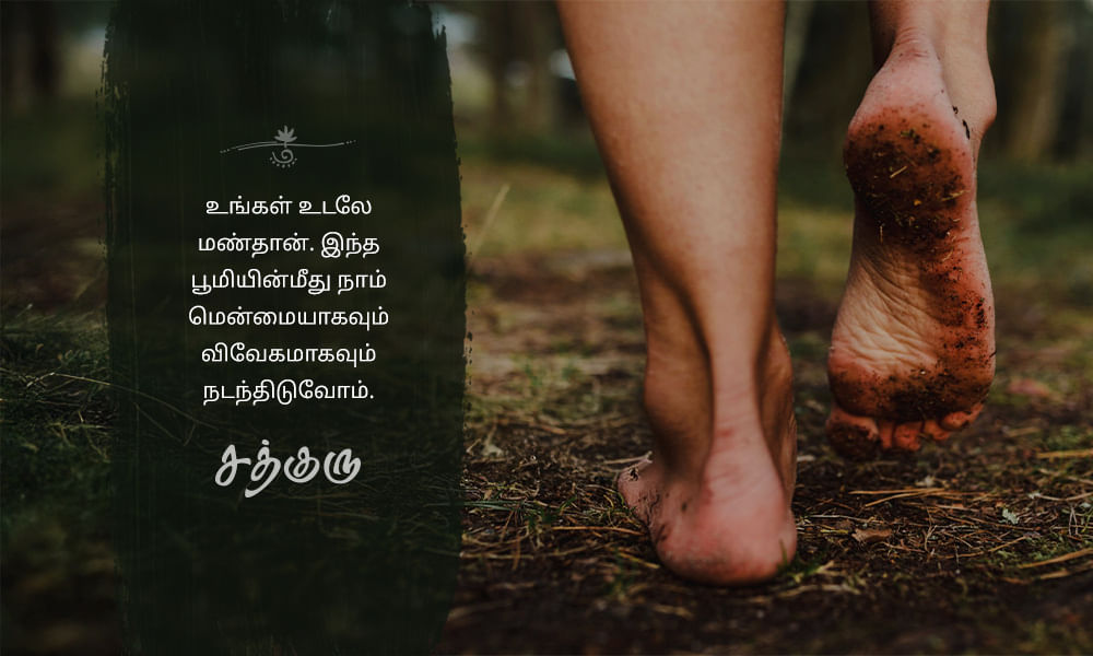 Soil, மண்