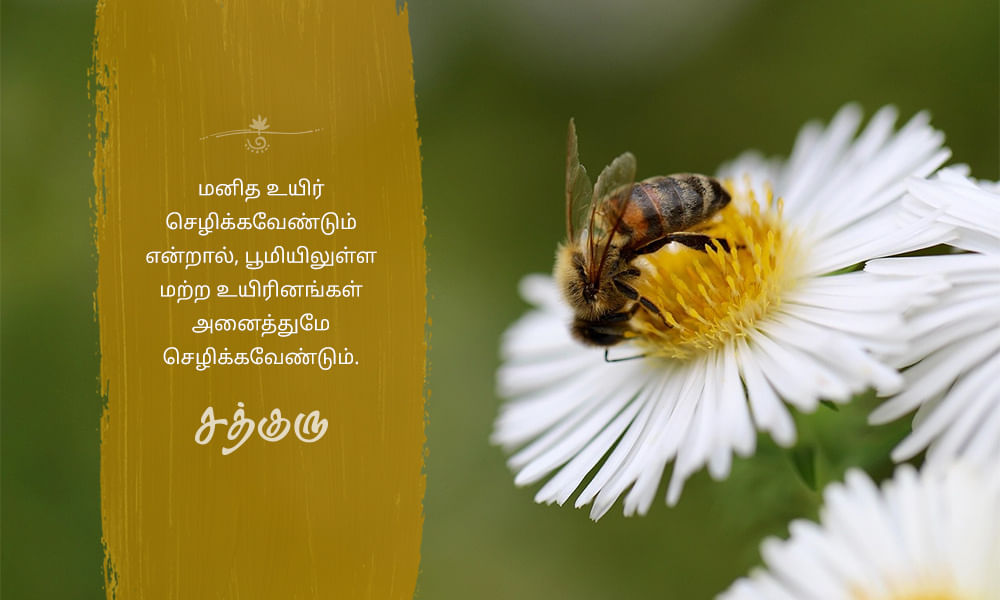 Human Well-being, மனித நன்மை