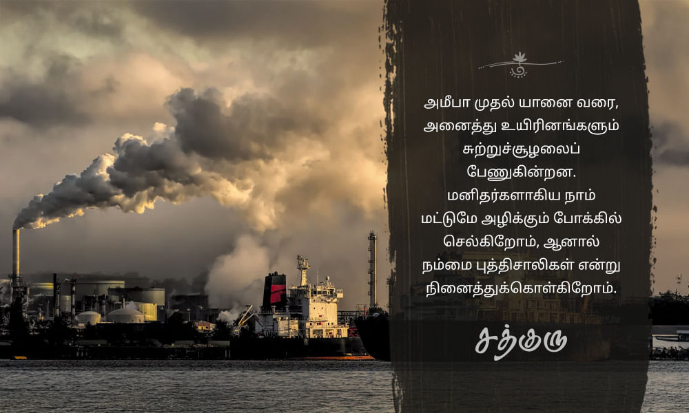 Save Environment, சுற்றுச்சூழலைப் பேணுவோம்