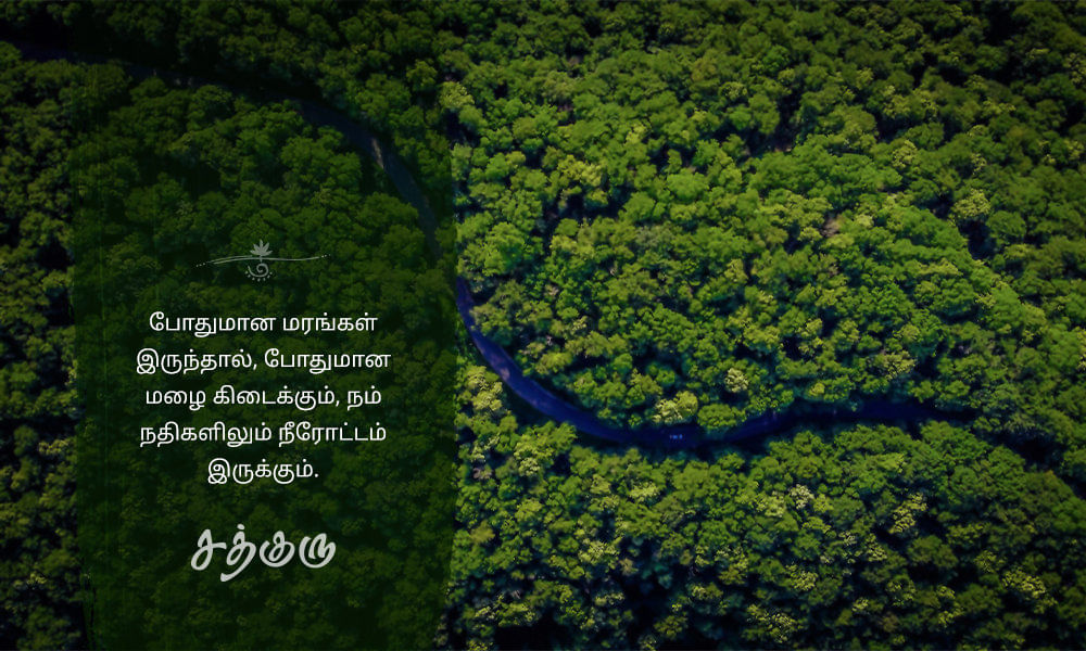 Nature Quotes in Tamil, இயற்கை quotes in tamil, மரங்கள், மழை, Trees, Rain