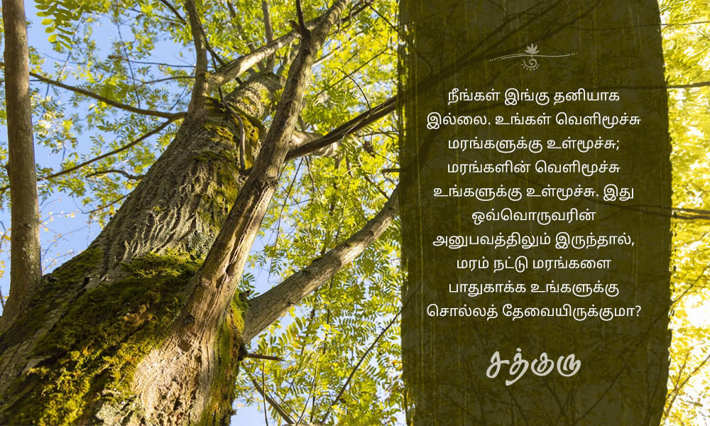 Tree Planting, மரம் வளர்ப்பு
