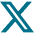 x icon