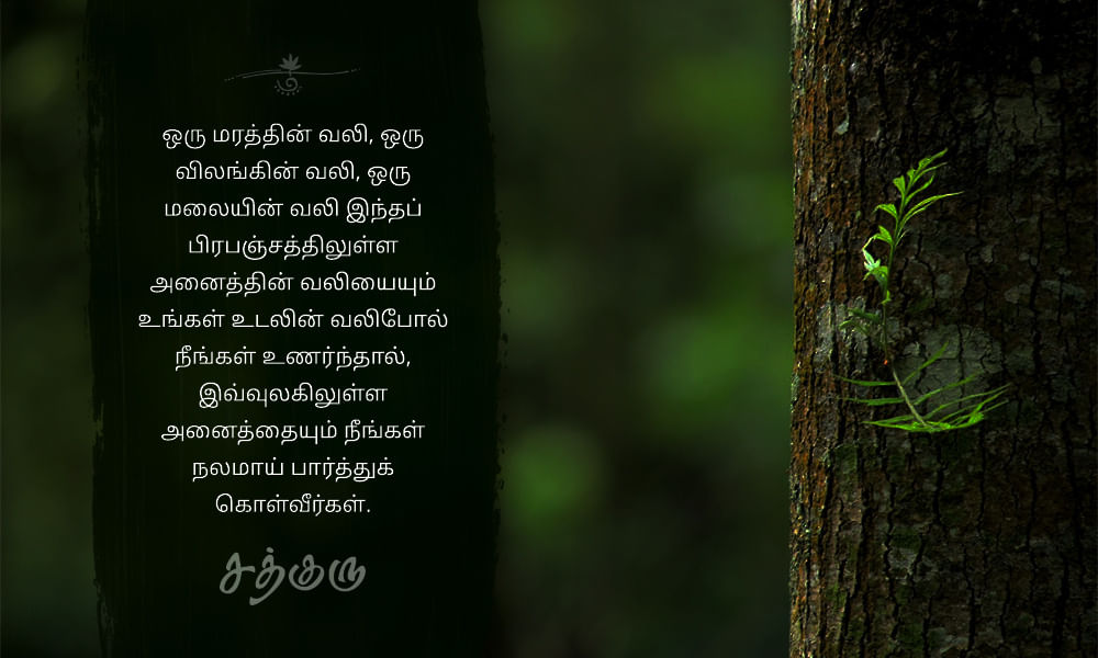 Pain Quotes in Tamil, வலி பற்றிய சத்குருவின் வாசகங்கள்
